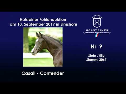 Nr. 9 v. Casall - Contender
