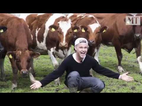 download lagu mp3 mp4 Benjamin Peltonen Youtube, download lagu Benjamin Peltonen Youtube gratis, unduh video klip Benjamin Peltonen Youtube