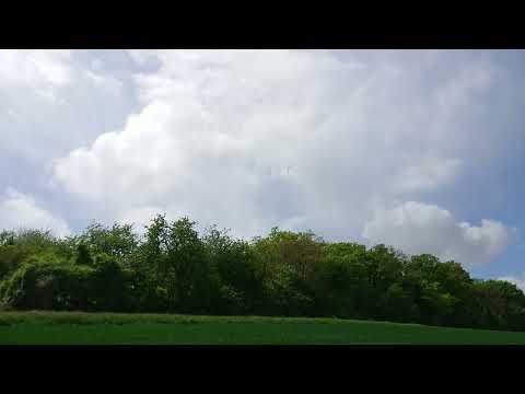 Segelflug DS Gauersheim 2021 Wölbklappen Flattern