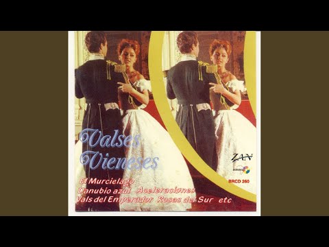 Pluie de diamants, Op. 160 (arr. D. Braza for orchestra)