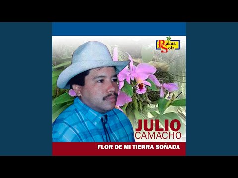 Les voy habla la franquesza