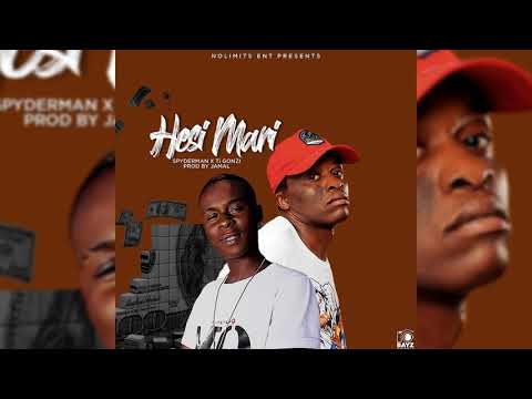 Ti Gonzi ft Spyderman - Hesi mari (official audio)