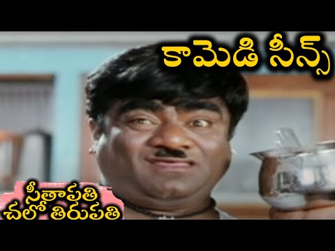 Seetapathi Chalo Tirupathi Comedy Scenes | Back to Back Comdey | Telugu Comdey Scenes |TVNXT Comdey