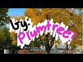 In the sink - Plumtree || lyric video