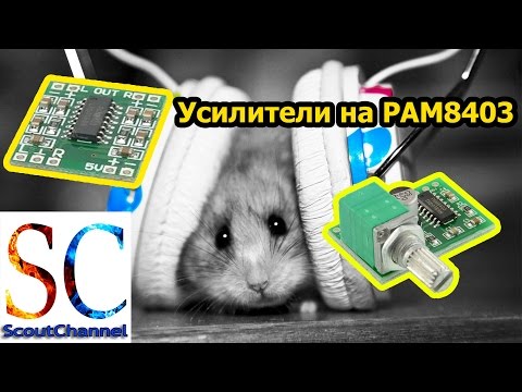 Усилители звука на PAM8403