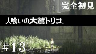 【初見プレイ】目が覚めたら大きなワシがいた Part.13【人喰いの大鷲トリコ/ネタバレ注意】