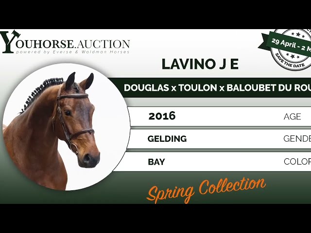 Lavino @ show indoor
