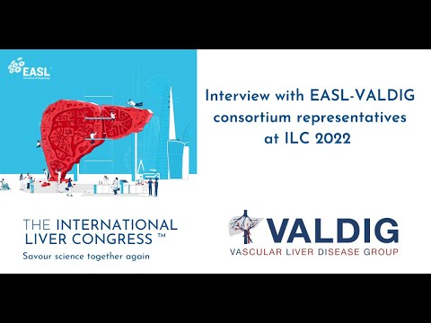 VALDIG interview, during ILC 2022