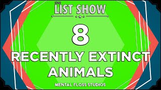 8 Animals That Recently Went Extinct | Mental Floss