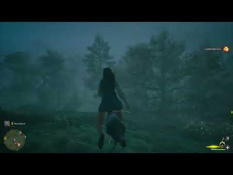 Take The Biscuit quest Hogwarts Legacy