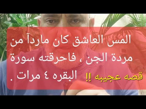 عجيبه قصة لمستغفره مع البقره ٤ مرات، تخلع القلب وهجوم مارد الشياطين عليها  !! قصص اخرى مبهره وكثيره.