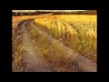 Эти стихи, наверное, последние…(стихотворение Елены Ширман) 