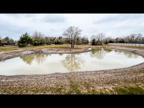1/4 Acre Pond Build Timelapse - 2 Months In 11 Minutes
