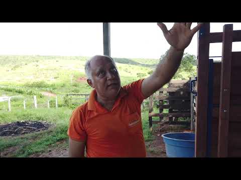 Mário Sérgio Fazendo Manutenção em Balança de Fazenda, Cidade de São Raimundo do Doca Bezerra 