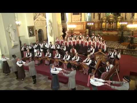 VU Ansamblis - Ne dėl žalio vyno [Šv. Jonų bažnyčia]