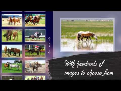 Venn Turtles: Circle Jigsaw Video