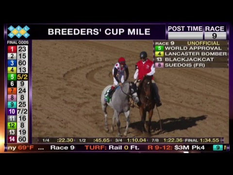 LIVE The Breeders' Cup World Championships Saturday