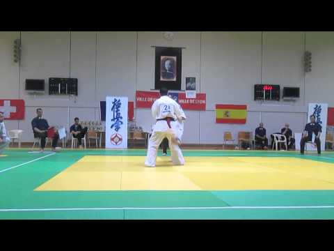 Lucian Gogonel, Open de Lyon 2013