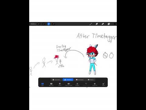 Miraculous Timetagger/Bunnix: Explanation/Theory