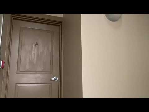641 Walnut St Apartments - Video 2 of 2