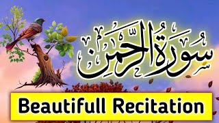 055 Surah Ar Rahman | Most beautiful recitation | سورة الرحمن | Surah Rahman | Sura Rehman | Quran