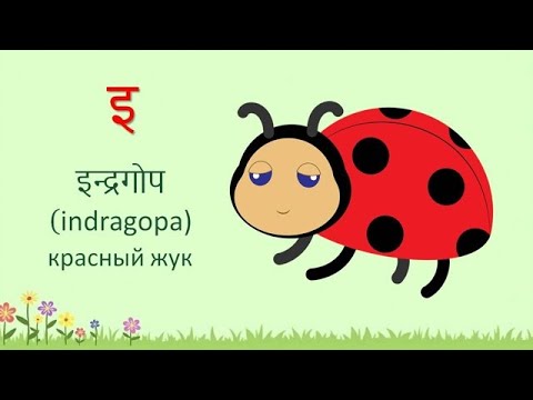 Зачет по детскому санскриту