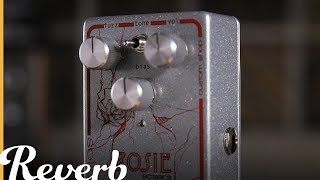 Video thumbnail for Rosie Fuzz - SolidGoldFX | Reverb Demo Video by Reverb