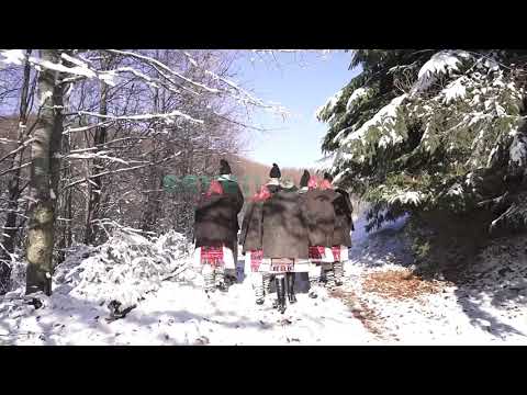 Ionut Uivarosi si Fratii Toma-Al iudeii împărat