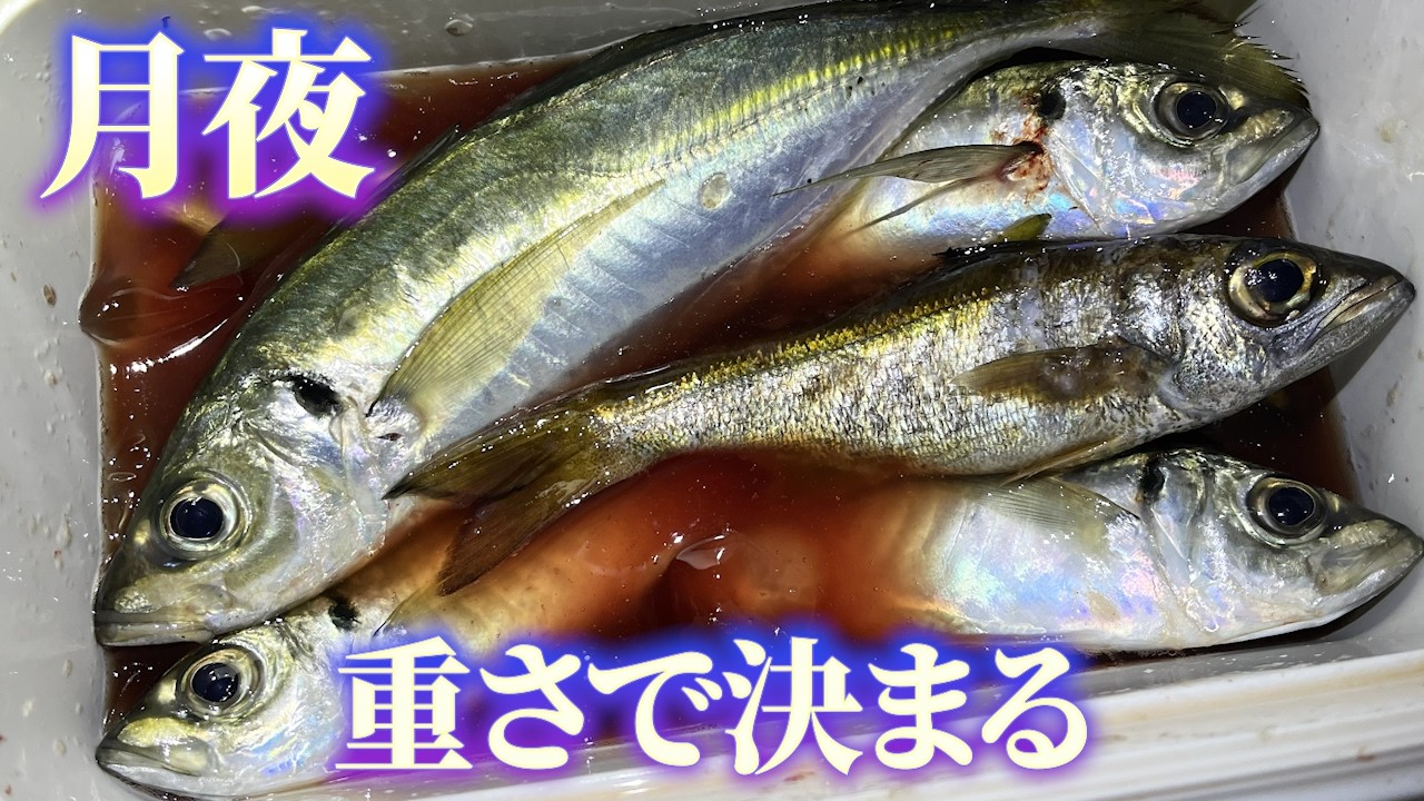 仕事帰りの月夜のアジング。ジグヘッドの重さをローテしたらどうなった？