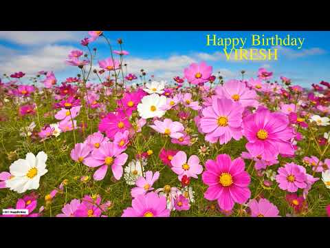 Viresh  Nature & Naturaleza - Happy Birthday