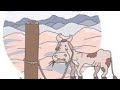Where Is The Donkey Is Tied Up ️ ️