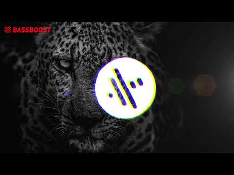 22 Void Beats & Jvckin - Night [Bass Boosted]