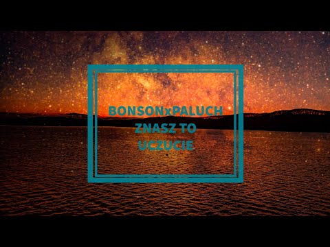 Bonson x Paluch-Znasz To Uczucie (BraKe blend)