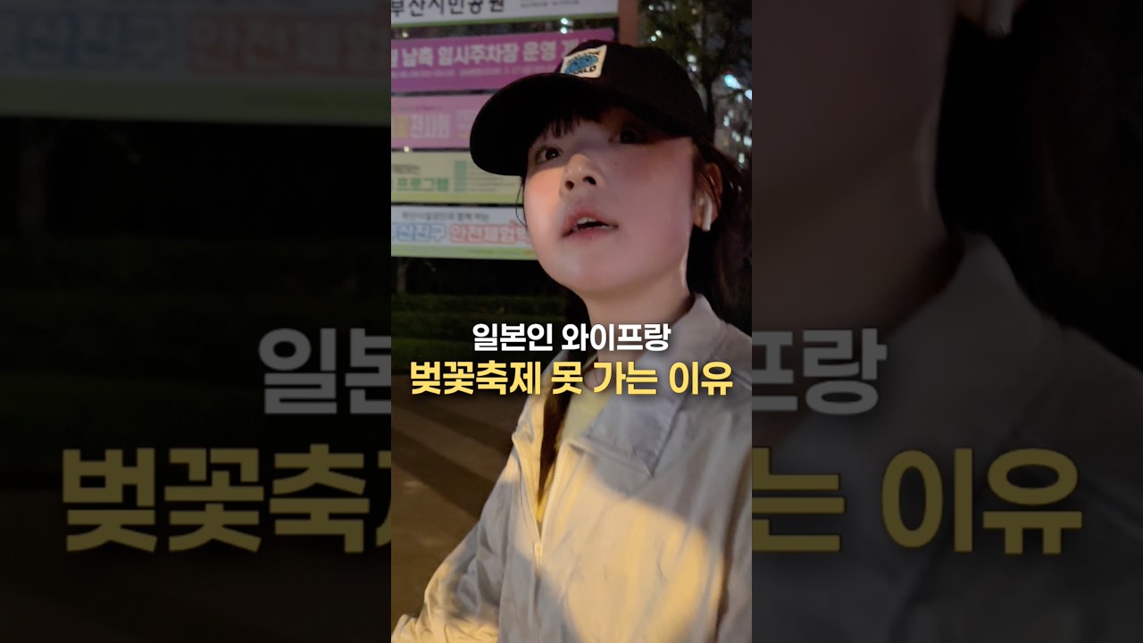 일본인 와이프랑 벚꽃축제 못 가는 이유