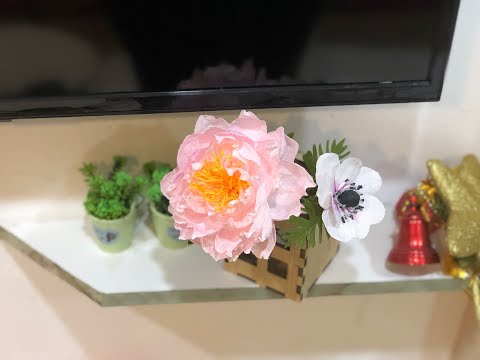 How To make Crepe Paper Peony