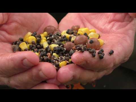 Rob Hughes Quick Impact Carp Fishing Tip 4 - Spodding
