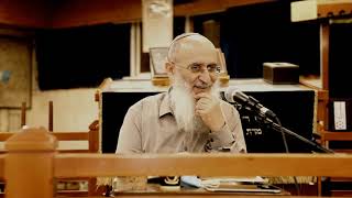 ?!אין מקרא יוצא מידיד פשוטו – יונה היה או לא היה