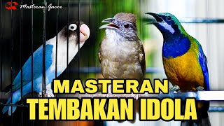 Download lagu MASTERAN GACOR CUCAK CUNGKOK-LOVEBIRD-KAPAS TEMBAK | BESETAN TEMBAKAN KONSLET MATERI IDOLA JUARA mp3