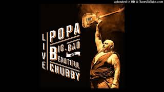 Popa Chubby - Working Class Blues (Live)