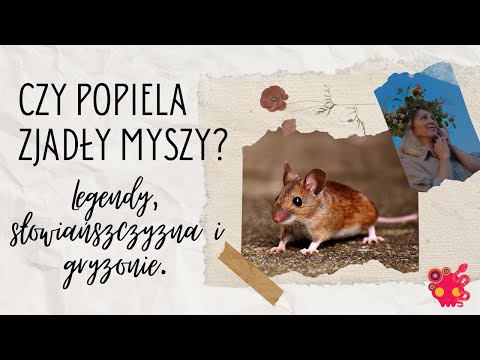 Czy Popiela zjadły myszy i czemu Słowianie nie stworzyli wielkiej cywilizacji?