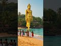 Lord Buddha Motivation Lordbuddha