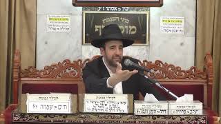 הרב מאיר אליהו  •  פרשת בשלח  •   שירת הים (בית הכנסת מוסאיוף) - התמונה מוצגת ישירות מתוך אתר האינטרנט יוטיוב. זכויות היוצרים בתמונה שייכות ליוצרה. קישור קרדיט למקור התוכן נמצא בתוך דף הסרטון