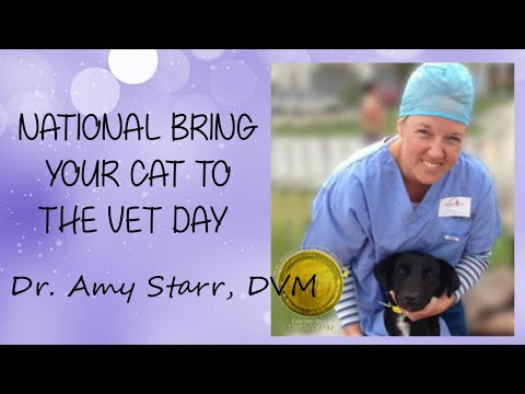 National Take Your Cat to the Vet Day!
