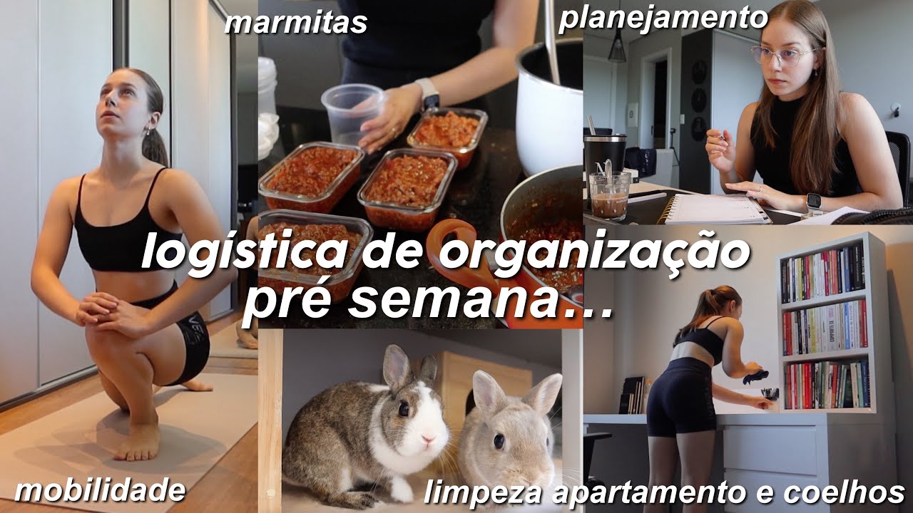 VLOG DE DOMINGO | limpeza e organização do apartamento, preparação das marmitas, planejamento…