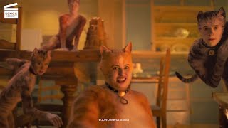 Cats: The Old Gumbie Cat HD CLIP