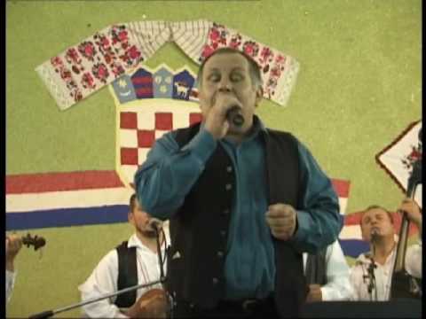 Dva zavičaja - Dragan Vlajnić