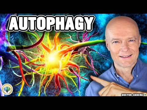#1 Absolute Best Way To Extend A Fast & Boost Autophagy #1 Absolute Best Way To Extend A Fast & Boost Autophagy