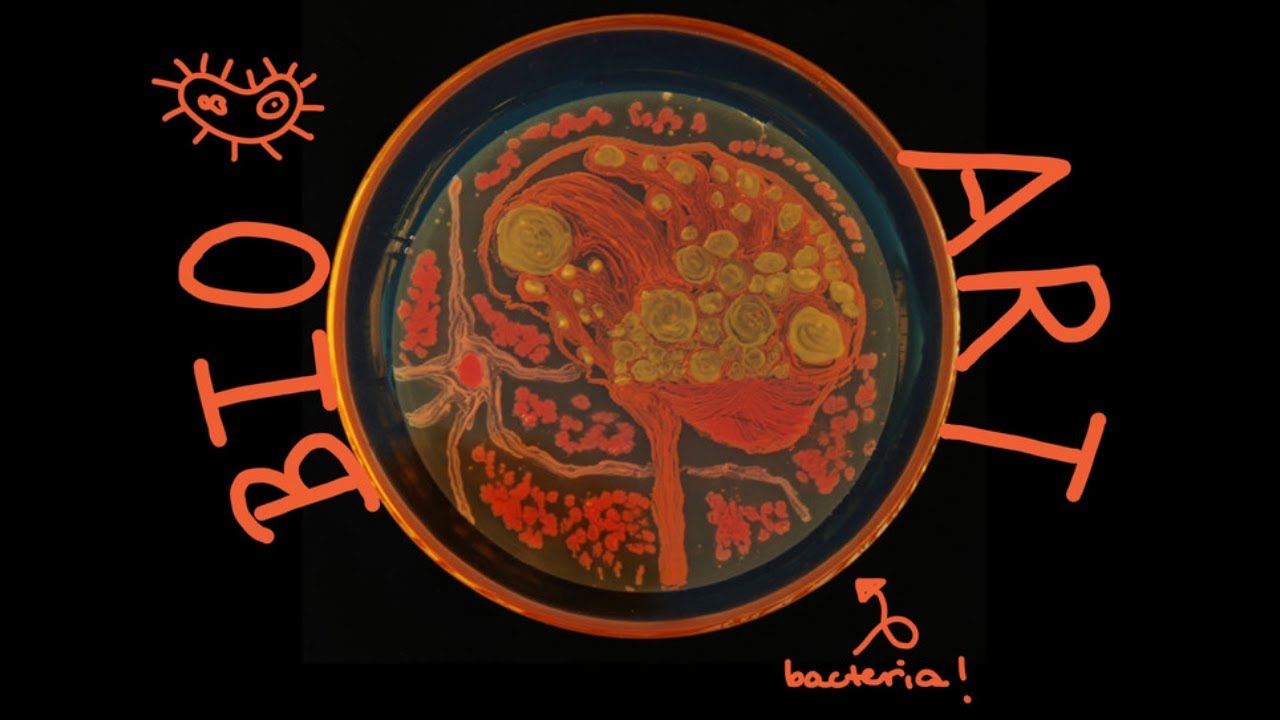 Genetic Engineering and BioArt