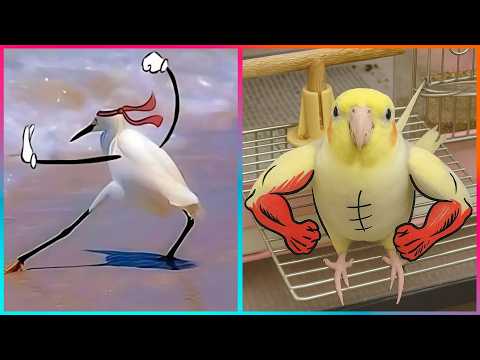 Birds with Arms being the Funniest Thing Ever​ ▶ 3 @LeopARTnik