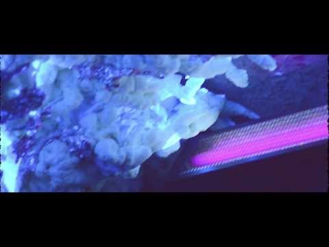 MUD Side of the moon - 01.03.14 @Tabasco Club Fire